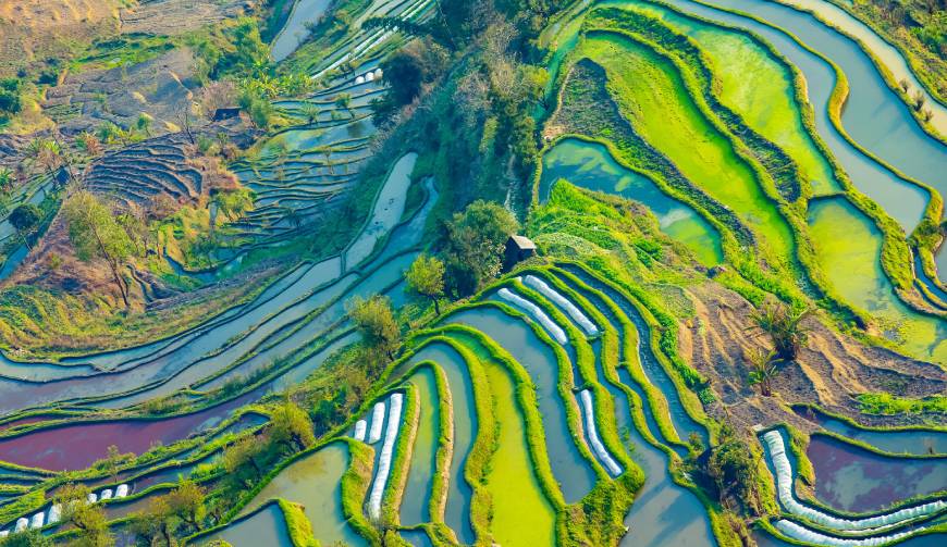 宝妈必备神器：什邡市产品视频拍摄轻松育儿好帮手